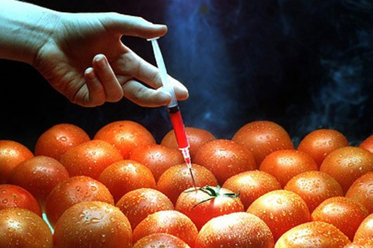 genetically-modified-foods-are-they-really-bad-for-us