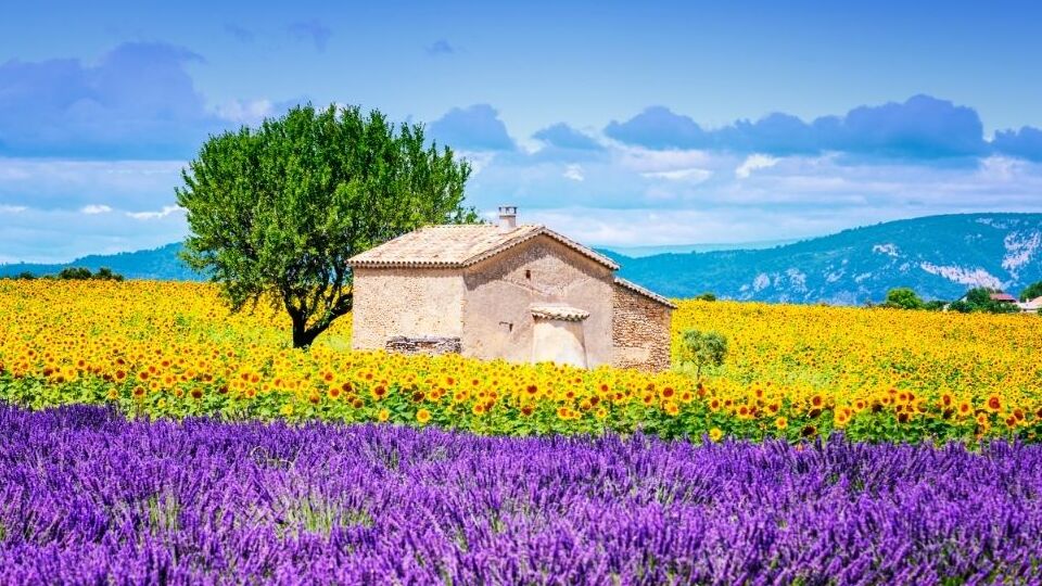 France (1)